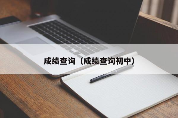 成绩查询（成绩查询初中）